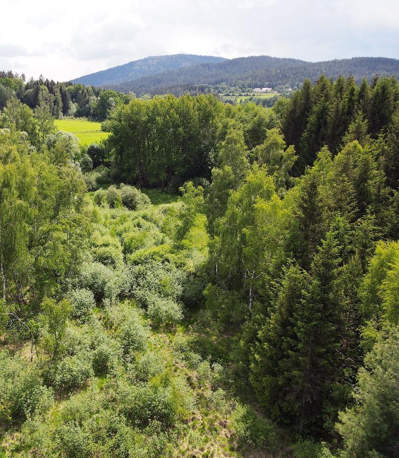 Wildgatter Ferienappartements Grafenwiesen Zewnętrze zdjęcie