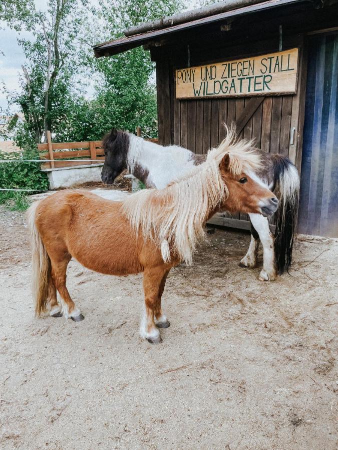 Wildgatter Ferienappartements Grafenwiesen Zewnętrze zdjęcie